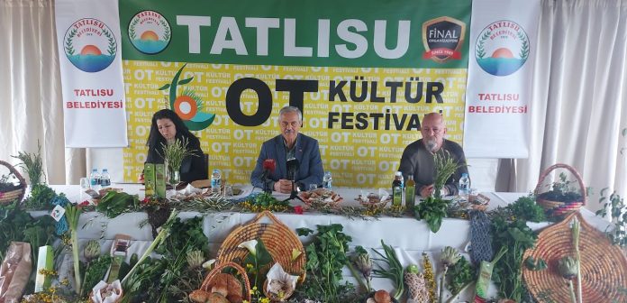 ot-festttt.jpeg