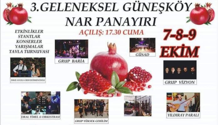 3.-Guneskoy-Geleneksel-Nar-Panayiri.jpg