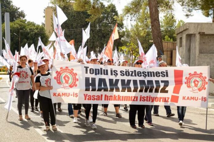 kamuis-foto-14-10.jpg