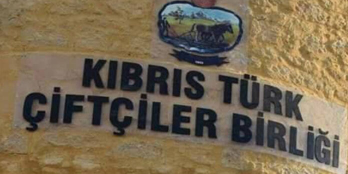 ktcb.jpg