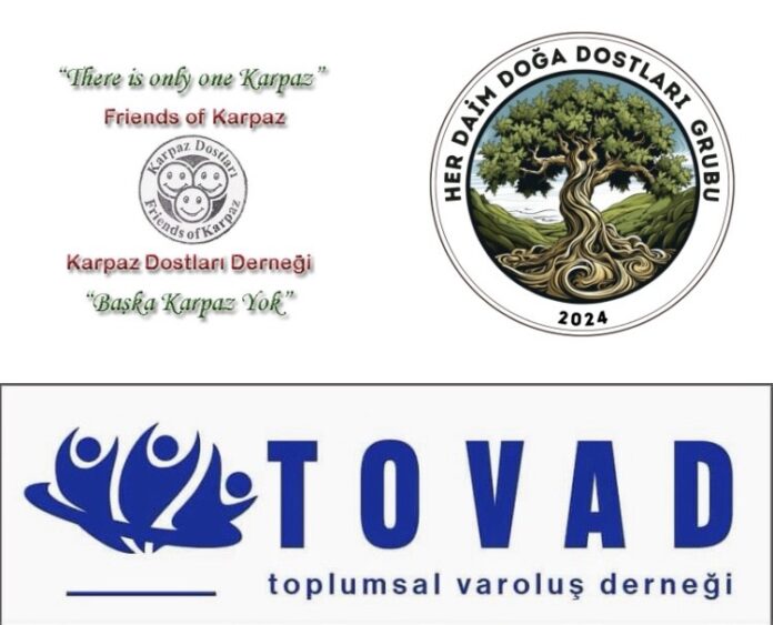 herdaim-dostlar.jpeg