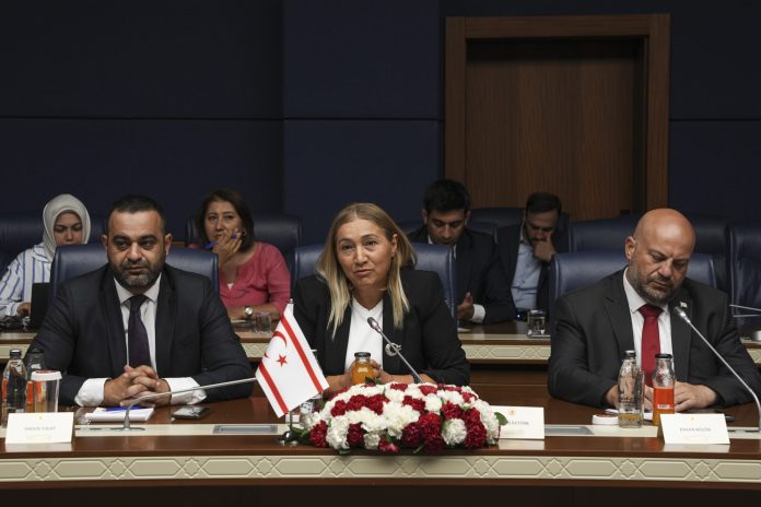 1751459843341Tipioglu-2-scaled.jpg